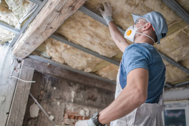 Types of Insulation We Offer in Millington, MI