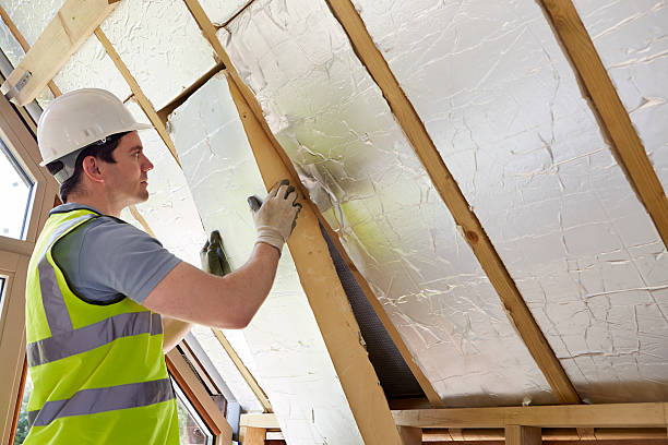 Best DIY Insulation Kits and Guidance in Llington, MI