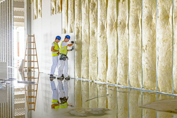 Best Eco-Friendly Insulation in Llington, MI